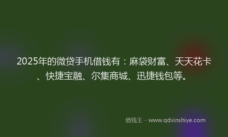 2025年的微贷手机借钱有：麻袋财富、天天花卡、快捷宝融、尔集商城、迅捷钱包等。