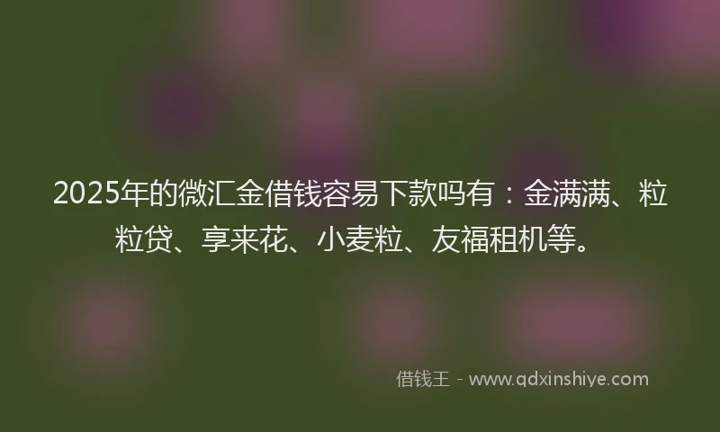 2025年的微汇金借钱容易下款吗有：金满满、粒粒贷、享来花、小麦粒、友福租机等。