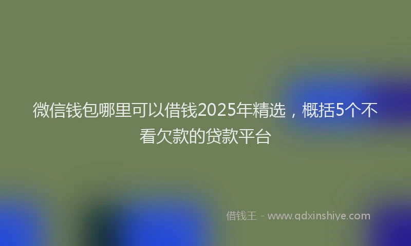 微信钱包哪里可以借钱2025年精选，概括5个不看欠款的贷款平台