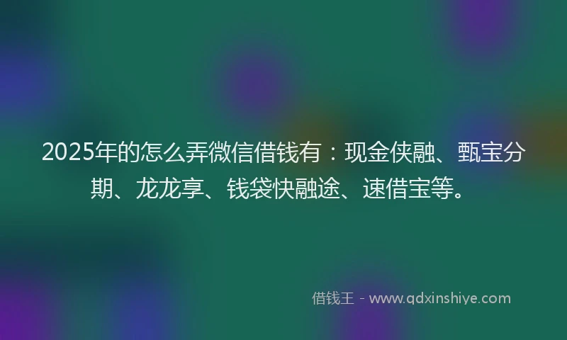 2025年的怎么弄微信借钱有：现金侠融、甄宝分期、龙龙享、钱袋快融途、速借宝等。