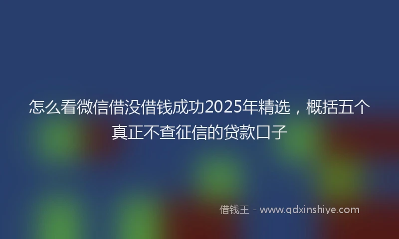 怎么看微信借没借钱成功2025年精选，概括五个真正不查征信的贷款口子