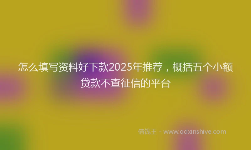 怎么填写资料好下款2025年推荐，概括五个小额贷款不查征信的平台