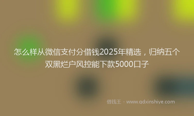 怎么样从微信支付分借钱2025年精选，归纳五个双黑烂户风控能下款5000口子