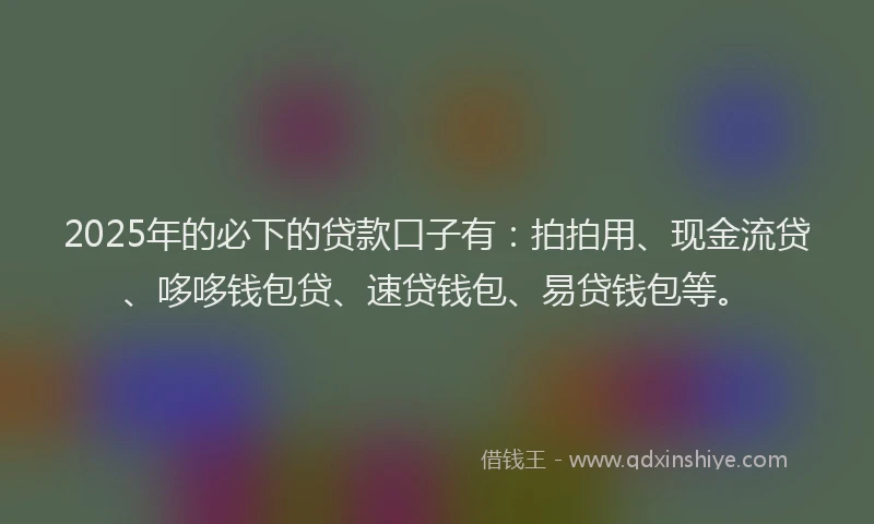 2025年的必下的贷款口子有：拍拍用、现金流贷、哆哆钱包贷、速贷钱包、易贷钱包等。