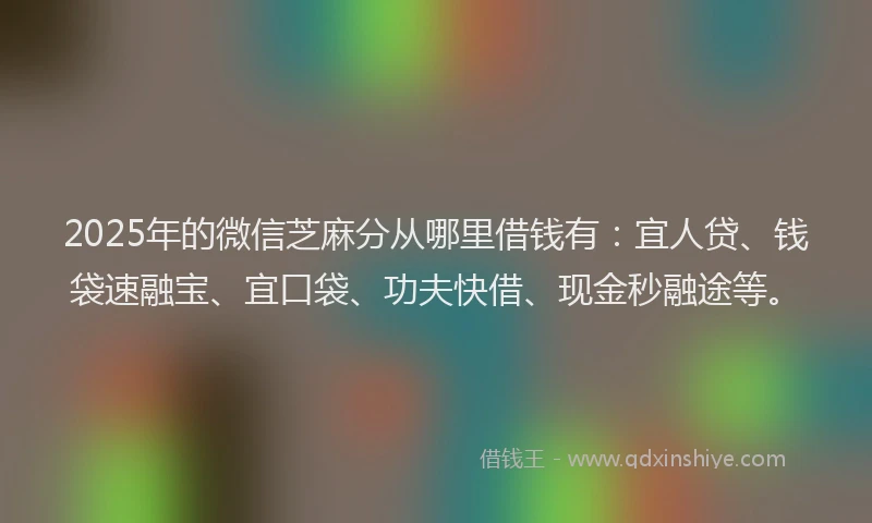 2025年的微信芝麻分从哪里借钱有：宜人贷、钱袋速融宝、宜口袋、功夫快借、现金秒融途等。