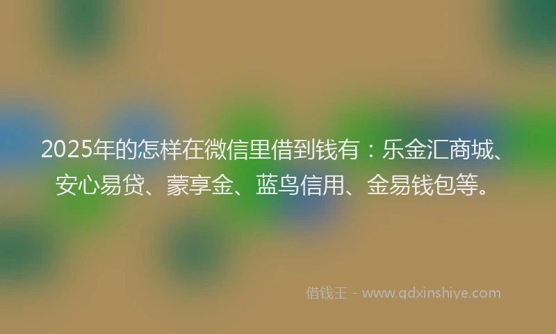 2025年的怎样在微信里借到钱有：乐金汇商城、安心易贷、蒙享金、蓝鸟信用、金易钱包等。