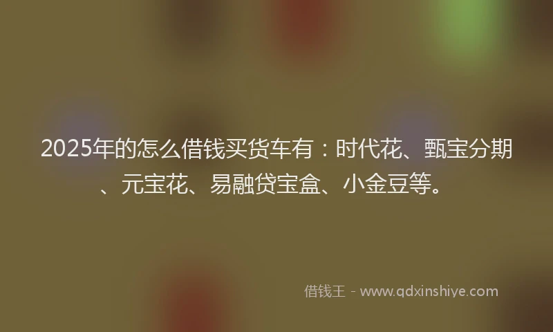2025年的怎么借钱买货车有：时代花、甄宝分期、元宝花、易融贷宝盒、小金豆等。