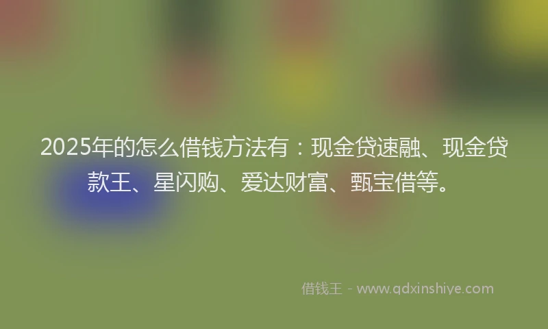 2025年的怎么借钱方法有：现金贷速融、现金贷款王、星闪购、爱达财富、甄宝借等。