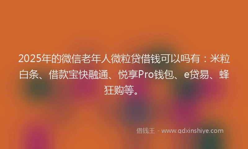 2025年的微信老年人微粒贷借钱可以吗有：米粒白条、借款宝快融通、悦享Pro钱包、e贷易、蜂狂购等。