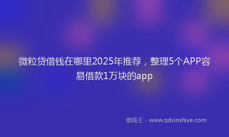 微粒贷借钱在哪里2025年推荐，整理5个APP容易借款1万块的app