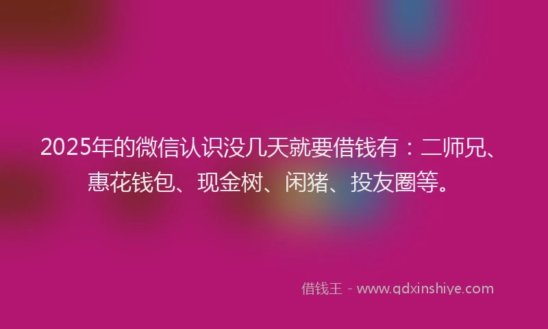 2025年的微信认识没几天就要借钱有：二师兄、惠花钱包、现金树、闲猪、投友圈等。