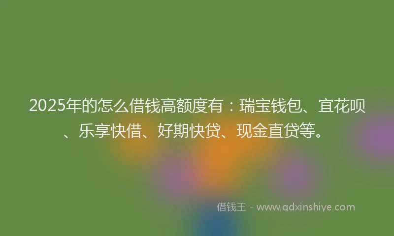 2025年的怎么借钱高额度有：瑞宝钱包、宜花呗、乐享快借、好期快贷、现金直贷等。