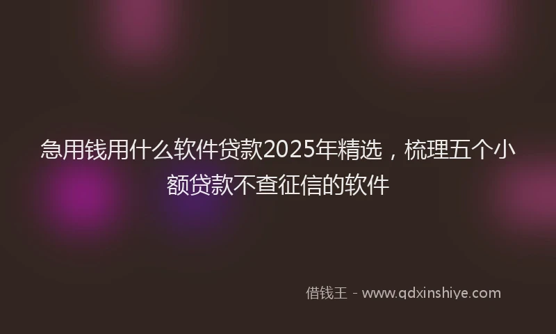 急用钱用什么软件贷款2025年精选，梳理五个小额贷款不查征信的软件