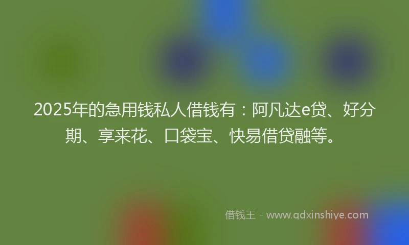 2025年的急用钱私人借钱有：阿凡达e贷、好分期、享来花、口袋宝、快易借贷融等。