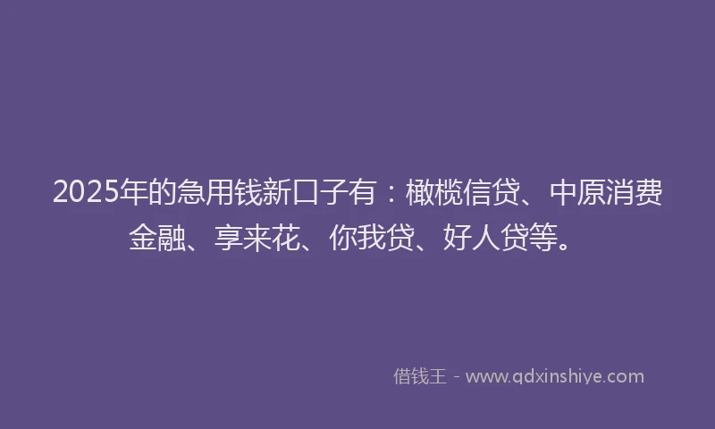 2025年的急用钱新口子有：橄榄信贷、中原消费金融、享来花、你我贷、好人贷等。