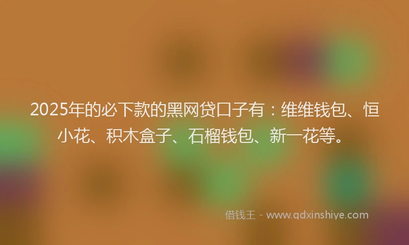 2025年的必下款的黑网贷口子有：维维钱包、恒小花、积木盒子、石榴钱包、新一花等。