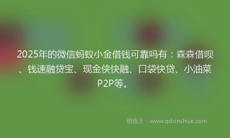 2025年的微信蚂蚁小金借钱可靠吗有：森森借呗、钱速融贷宝、现金侠快融、口袋快贷、小油菜P2P等。