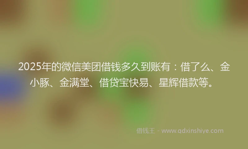 2025年的微信美团借钱多久到账有：借了么、金小豚、金满堂、借贷宝快易、星辉借款等。