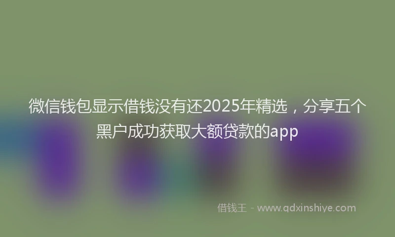 微信钱包显示借钱没有还2025年精选，分享五个黑户成功获取大额贷款的app