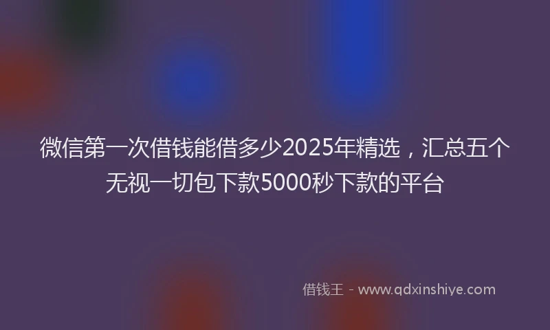 微信第一次借钱能借多少2025年精选，汇总五个无视一切包下款5000秒下款的平台