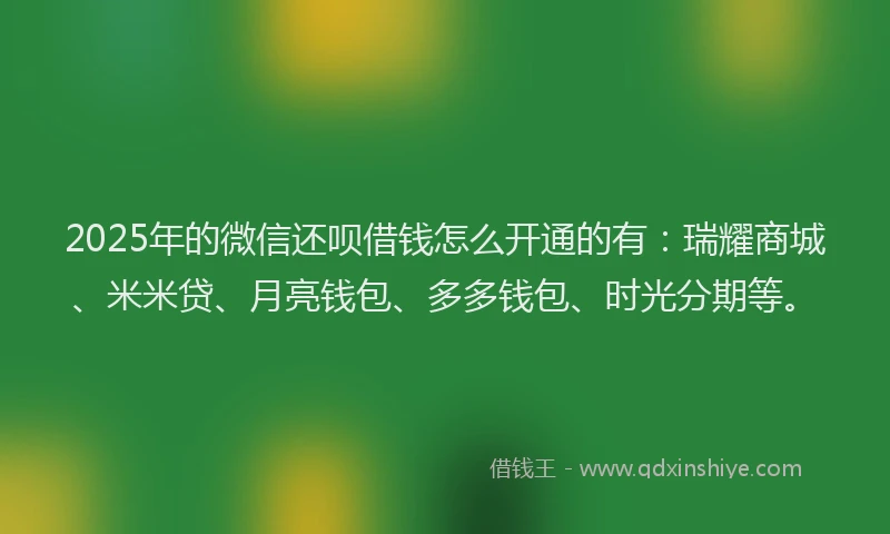 2025年的微信还呗借钱怎么开通的有：瑞耀商城、米米贷、月亮钱包、多多钱包、时光分期等。