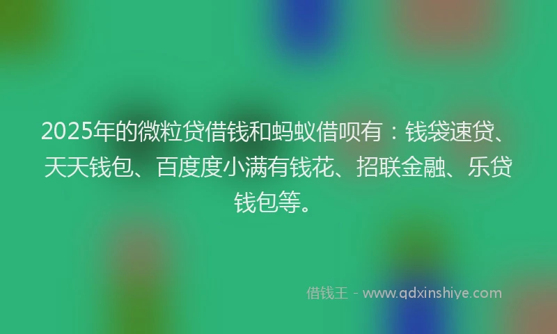 2025年的微粒贷借钱和蚂蚁借呗有：钱袋速贷、天天钱包、百度度小满有钱花、招联金融、乐贷钱包等。