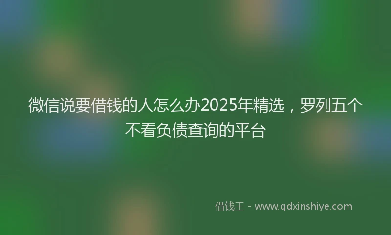 微信说要借钱的人怎么办2025年精选，罗列五个不看负债查询的平台