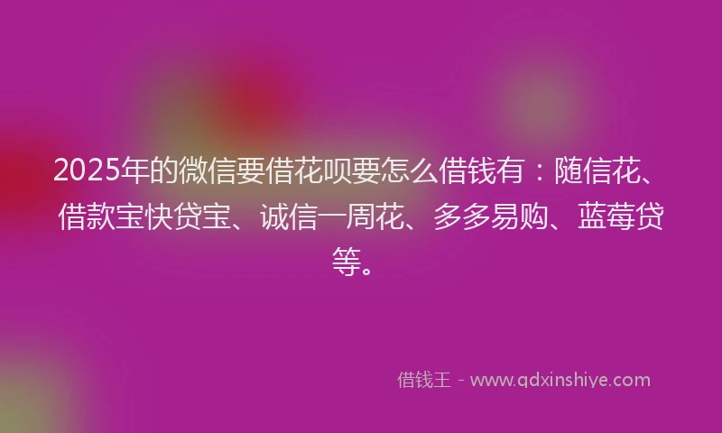 2025年的微信要借花呗要怎么借钱有：随信花、借款宝快贷宝、诚信一周花、多多易购、蓝莓贷等。