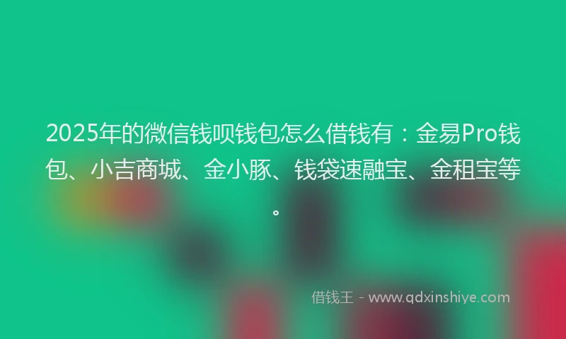 2025年的微信钱呗钱包怎么借钱有：金易Pro钱包、小吉商城、金小豚、钱袋速融宝、金租宝等。