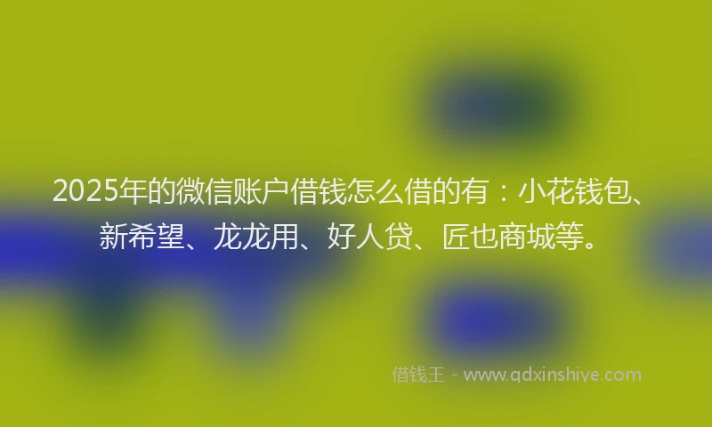 2025年的微信账户借钱怎么借的有：小花钱包、新希望、龙龙用、好人贷、匠也商城等。