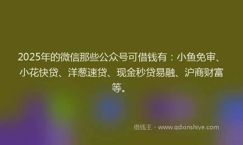 2025年的微信那些公众号可借钱有：小鱼免审、小花快贷、洋葱速贷、现金秒贷易融、沪商财富等。