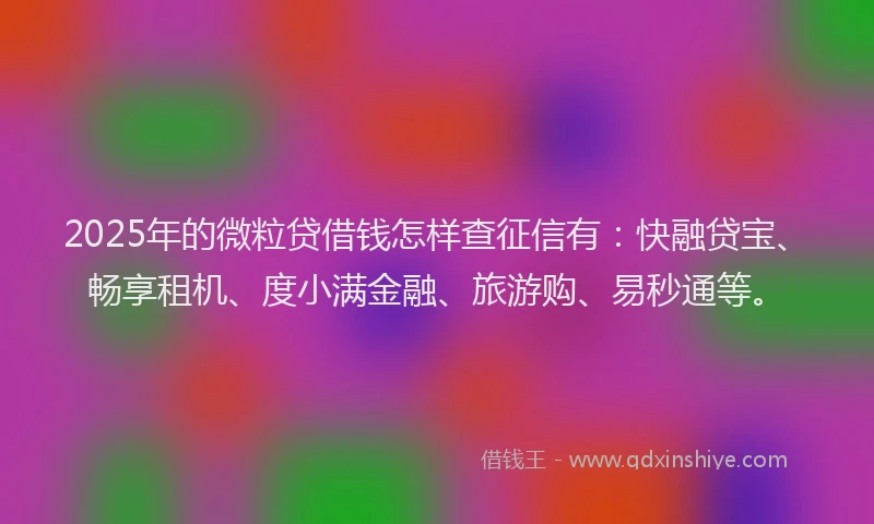 2025年的微粒贷借钱怎样查征信有：快融贷宝、畅享租机、度小满金融、旅游购、易秒通等。