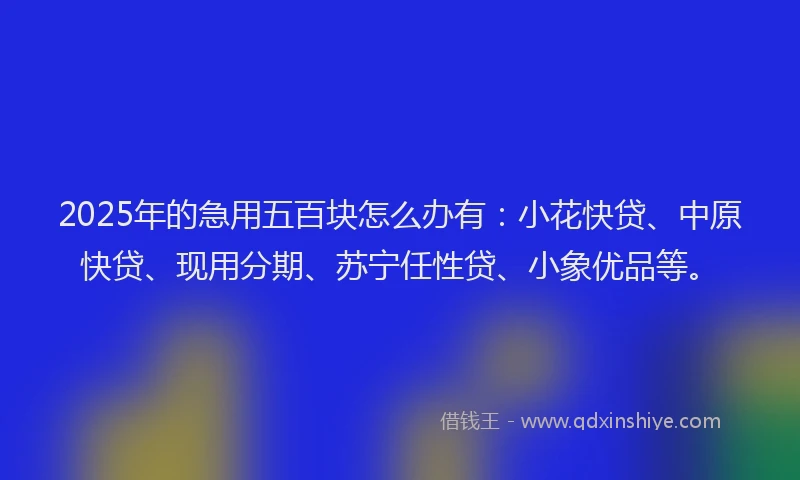 2025年的急用五百块怎么办有：小花快贷、中原快贷、现用分期、苏宁任性贷、小象优品等。