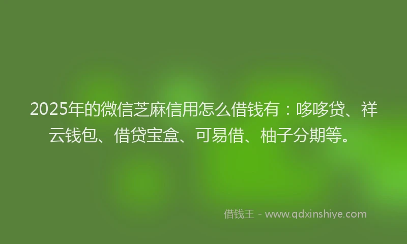 2025年的微信芝麻信用怎么借钱有：哆哆贷、祥云钱包、借贷宝盒、可易借、柚子分期等。