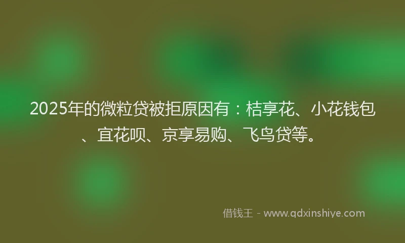 2025年的微粒贷被拒原因有：桔享花、小花钱包、宜花呗、京享易购、飞鸟贷等。