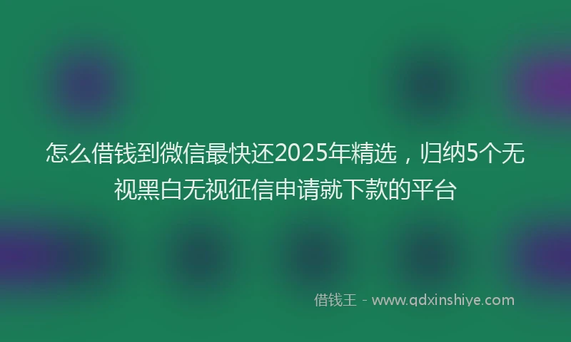 怎么借钱到微信最快还2025年精选，归纳5个无视黑白无视征信申请就下款的平台
