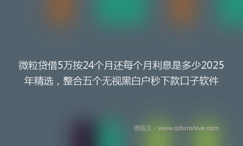 微粒贷借5万按24个月还每个月利息是多少2025年精选，整合五个无视黑白户秒下款口子软件