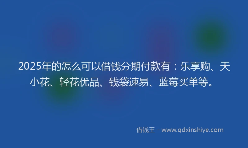 2025年的怎么可以借钱分期付款有：乐享购、天小花、轻花优品、钱袋速易、蓝莓买单等。