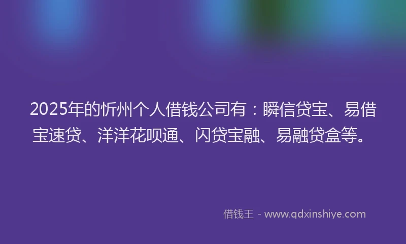 2025年的忻州个人借钱公司有：瞬信贷宝、易借宝速贷、洋洋花呗通、闪贷宝融、易融贷盒等。