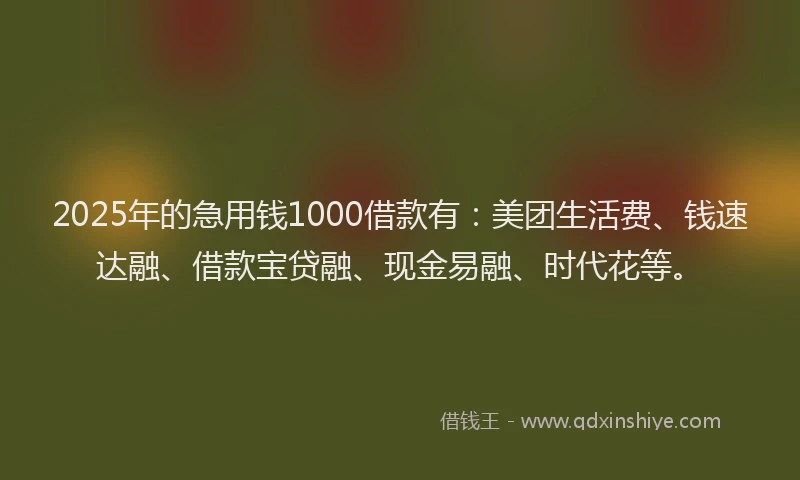 2025年的急用钱1000借款有：美团生活费、钱速达融、借款宝贷融、现金易融、时代花等。