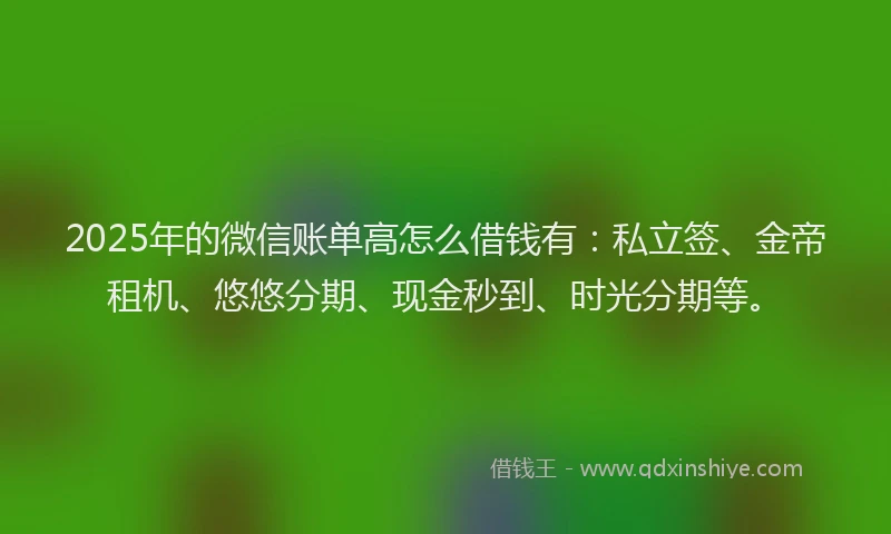 2025年的微信账单高怎么借钱有：私立签、金帝租机、悠悠分期、现金秒到、时光分期等。