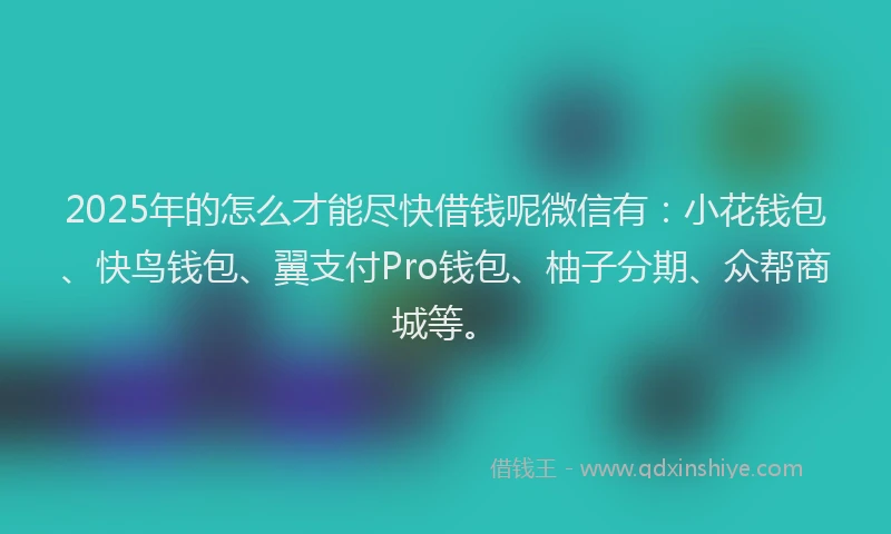 2025年的怎么才能尽快借钱呢微信有：小花钱包、快鸟钱包、翼支付Pro钱包、柚子分期、众帮商城等。