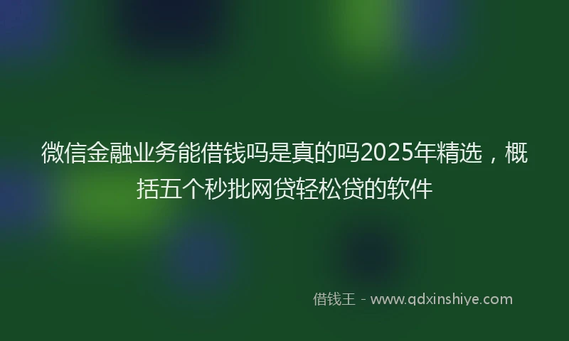 微信金融业务能借钱吗是真的吗2025年精选，概括五个秒批网贷轻松贷的软件