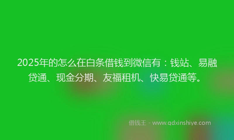 2025年的怎么在白条借钱到微信有：钱站、易融贷通、现金分期、友福租机、快易贷通等。