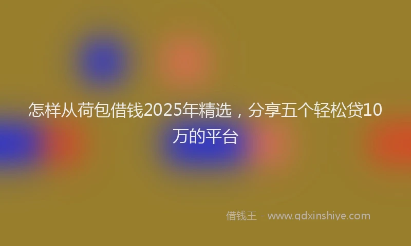 怎样从荷包借钱2025年精选，分享五个轻松贷10万的平台