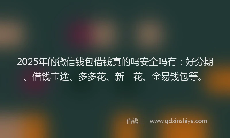 2025年的微信钱包借钱真的吗安全吗有：好分期、借钱宝途、多多花、新一花、金易钱包等。