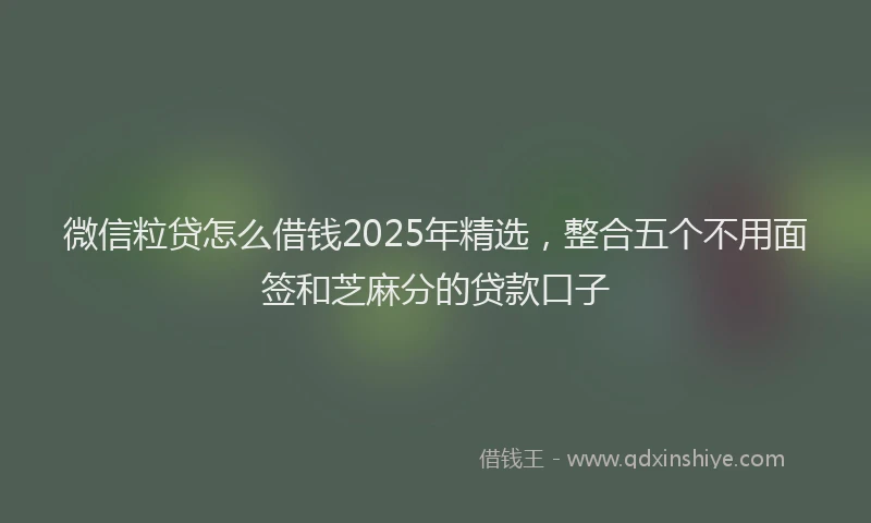 微信粒贷怎么借钱2025年精选，整合五个不用面签和芝麻分的贷款口子
