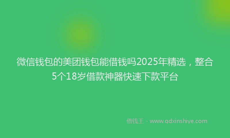 微信钱包的美团钱包能借钱吗2025年精选，整合5个18岁借款神器快速下款平台