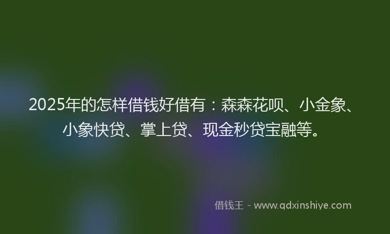 2025年的怎样借钱好借有：森森花呗、小金象、小象快贷、掌上贷、现金秒贷宝融等。