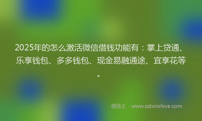 2025年的怎么激活微信借钱功能有：掌上贷通、乐享钱包、多多钱包、现金易融通途、宜享花等。
